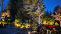Landscape Lighting Installer